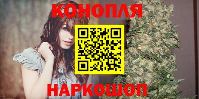a pvp Ачхой-Мартан